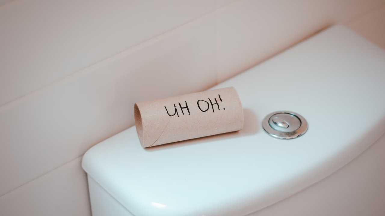 Kleine Kulturgeschichte der Fäkalsprache