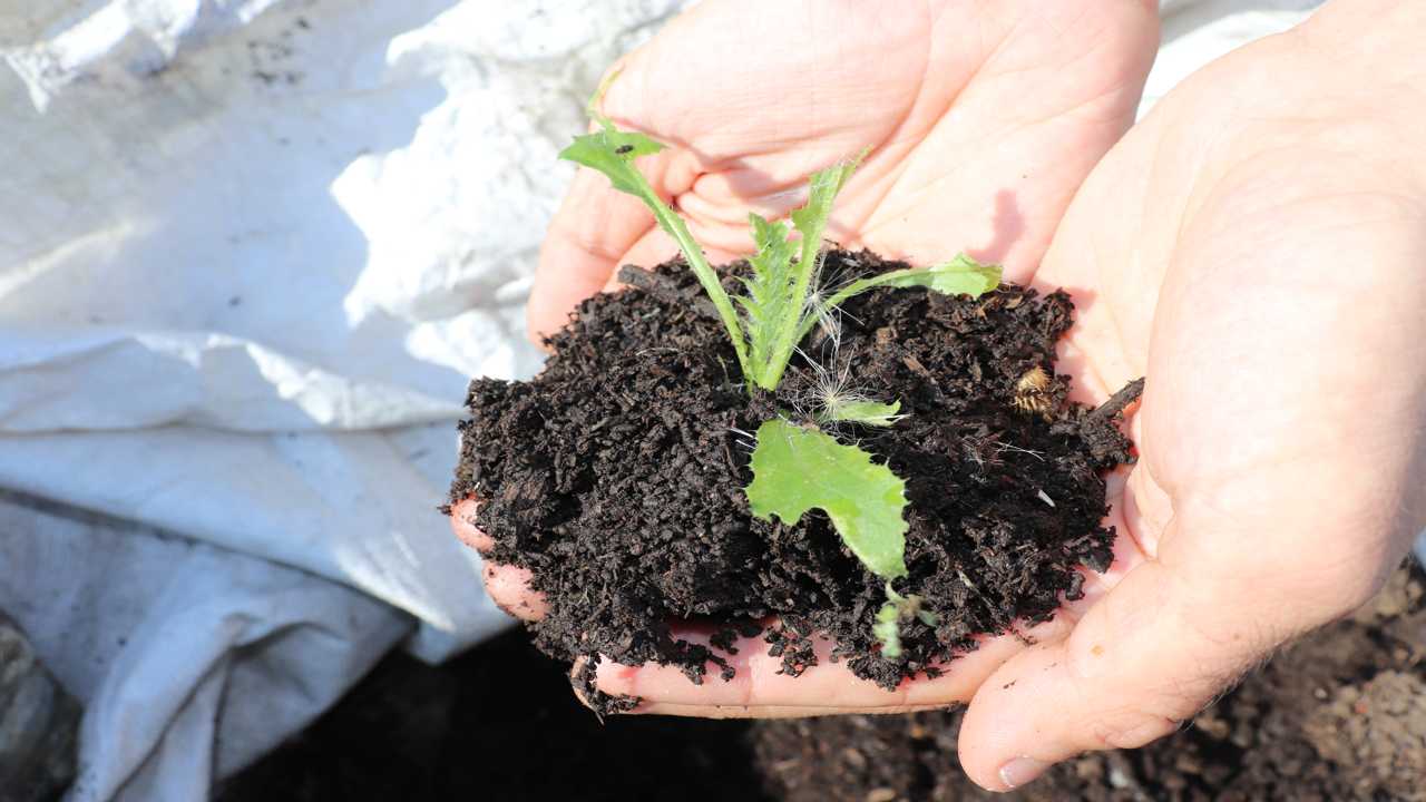 Die Forschung & öKlo: Unsere Projekte