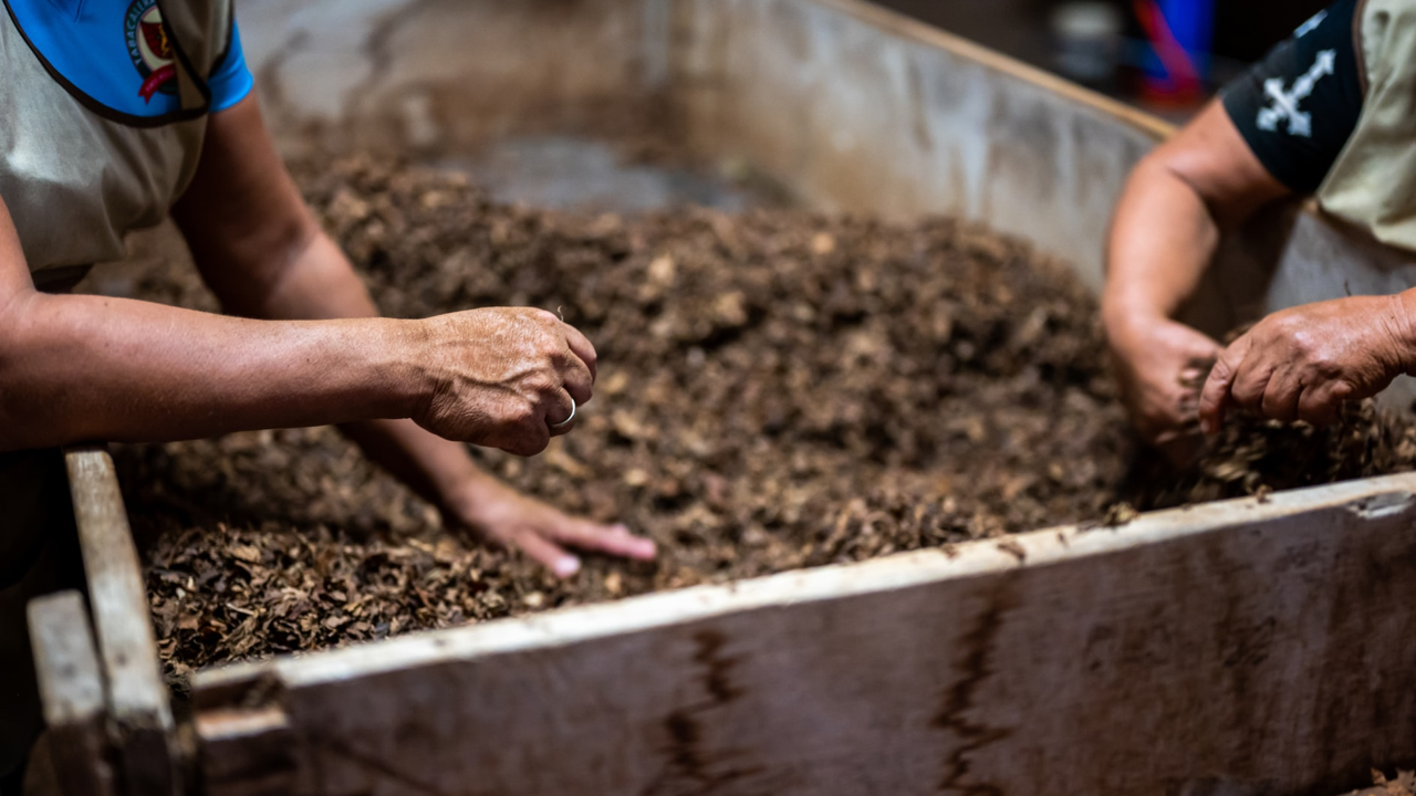 Alle Fakten zur Kompostierung bei öKlo